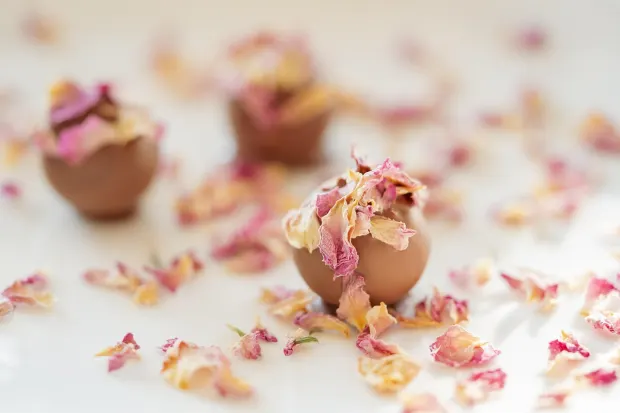 Pedalada10 Casino Android/iOS App